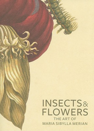 Книга Insects and Flowers - The Art of Maria Sibylla Merian David Brafman