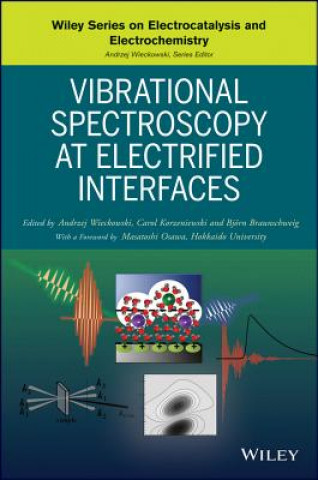 Kniha Vibrational Spectroscopy at Electrified Interfaces Andrzej Wieckowski
