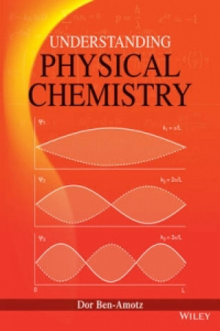 Kniha Understanding Physical Chemistry 1e Dor Ben-Amotz