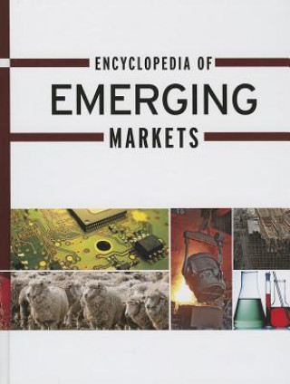 Kniha Encyclopedia of Emerging Markets Gale Cengage Learning