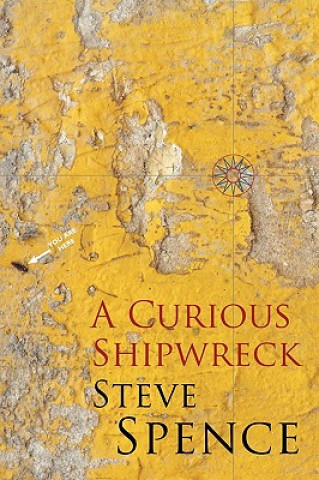 Livre Curious Shipwreck Steve Spence