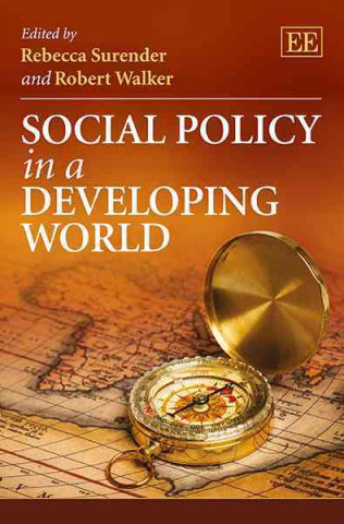 Kniha Social Policy in a Developing World Rebecca Surender