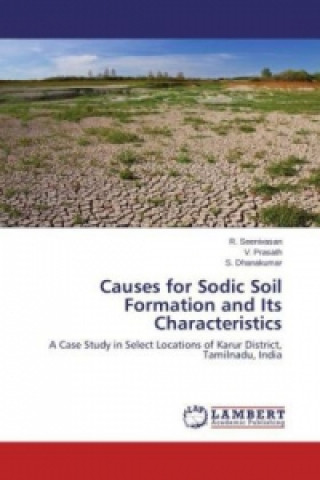 Könyv Causes for Sodic Soil Formation and Its Characteristics R. Seenivasan