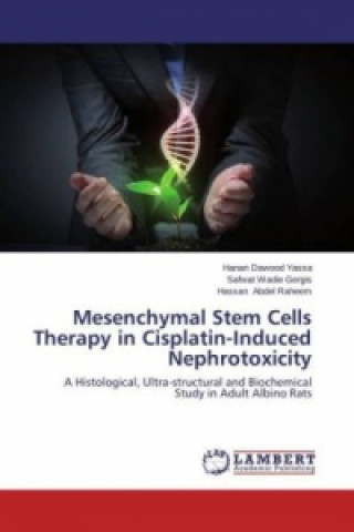 Buch Mesenchymal Stem Cells Therapy in Cisplatin-Induced Nephrotoxicity Hanan Dawood Yassa