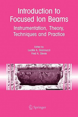 Kniha Introduction to Focused Ion Beams Lucille A. Giannuzzi