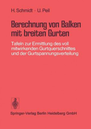 Kniha Berechnung Von Balken Mit Breiten Gurten H. Schmidt