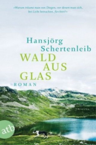 Książka Wald aus Glas Hansjörg Schertenleib