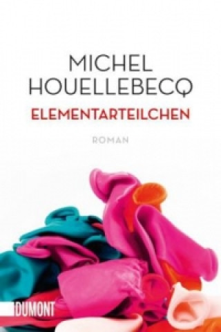 Książka Elementarteilchen Michel Houellebecq
