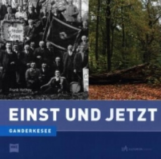 Kniha Ganderkesee - Einst und Jetzt Frank Hethey