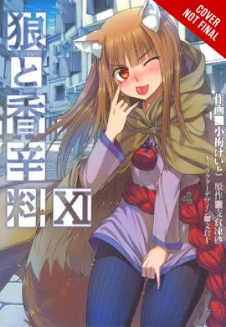 Könyv Spice and Wolf, Vol. 11 (light novel) Isuna Hasekura