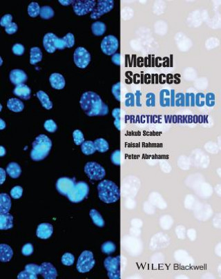 Kniha Medical Sciences at Glance - Practice Workbook Jakub Scaber