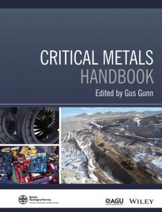 Könyv Critical Metals Handbook Gus Gunn