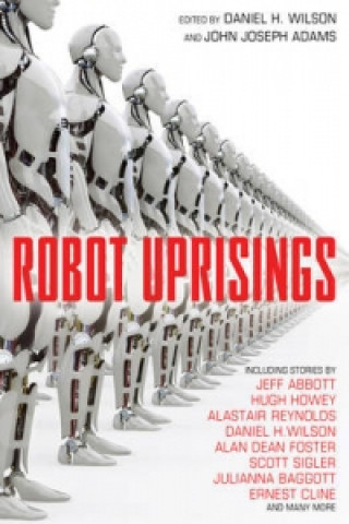 Könyv Robot Uprisings Daniel Wilson