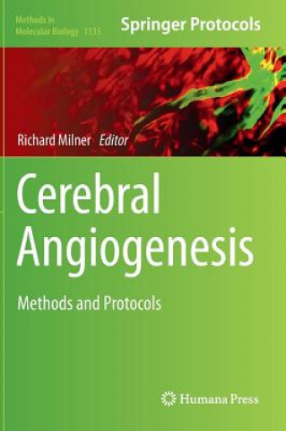 Libro Cerebral Angiogenesis Richard Milner