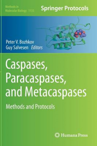 Book Caspases,Paracaspases, and Metacaspases Guy Salvesen