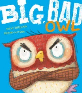 Knjiga Big, Bad Owl Steve Smallman