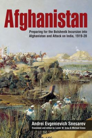 Carte Afghanistan Andrei Evgenievich Snesarev & Lester Grau