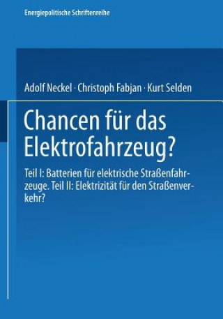 Carte Chancen F r Das Elektrofahrzeug? Adolf Neckel