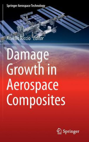 Kniha Damage Growth in Aerospace Composites Aniello Riccio