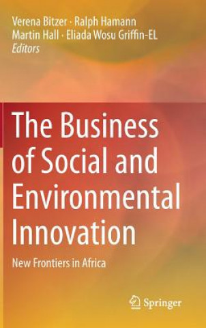 Buch Business of Social and Environmental Innovation Ralph Hamann