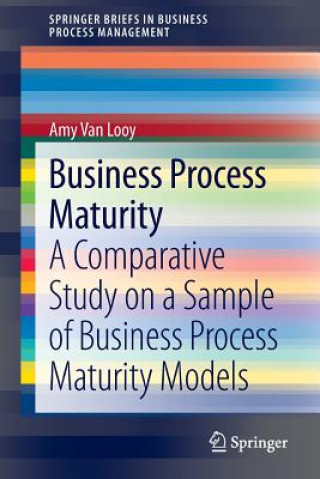 Kniha Business Process Maturity Amy Van Looy