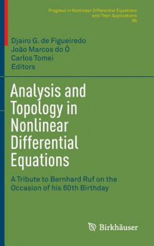 Buch Analysis and Topology in Nonlinear Differential Equations Djairo G. de Figueiredo