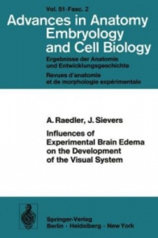 Buch Influences of Experimental Brain Edema on the Development of the Visual System A. Raedler