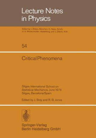 Kniha Critical Phenomena L. Garrido