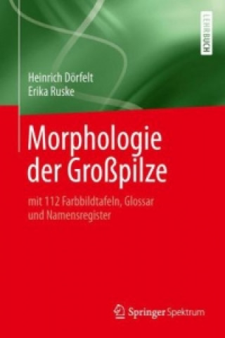 Kniha Morphologie der Gropilze Heinrich Dörfelt