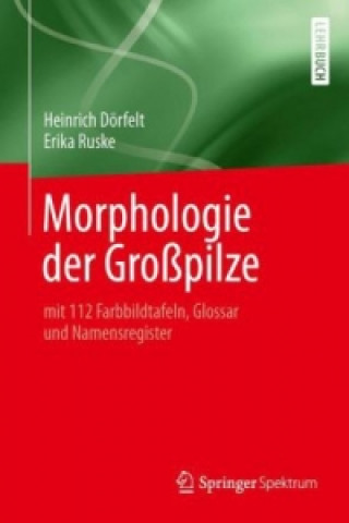 Książka Morphologie der Gropilze Heinrich Dörfelt