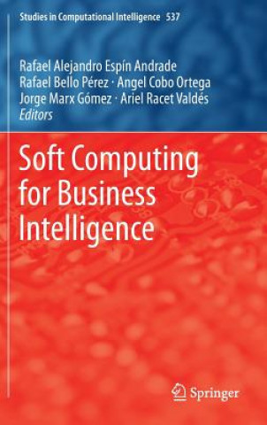 Könyv Soft Computing for Business Intelligence Rafael Espin