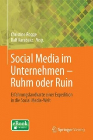 Книга Social Media im Unternehmen - Ruhm oder Ruin, m. 1 Buch, m. 1 Beilage Christine Rogge