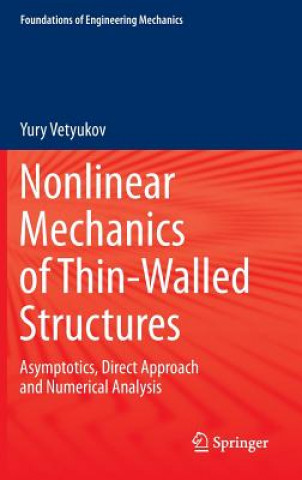 Kniha Nonlinear Mechanics of Thin-Walled Structures Yury Vetyukov