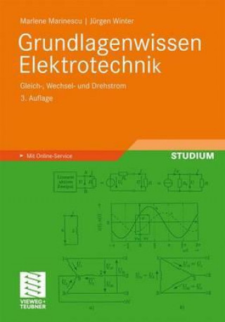 Kniha Grundlagenwissen Elektrotechnik Marlene Marinescu