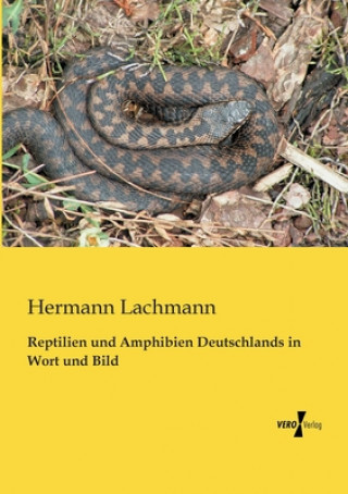 Книга Reptilien und Amphibien Deutschlands in Wort und Bild Hermann Lachmann