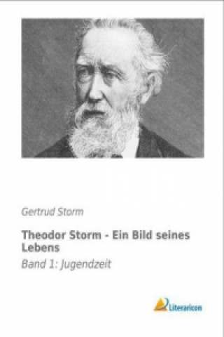 Book Theodor Storm - Ein Bild seines Lebens Gertrud Storm