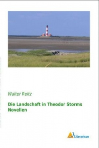Carte Die Landschaft in Theodor Storms Novellen Walter Reitz