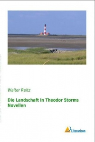 Книга Die Landschaft in Theodor Storms Novellen Walter Reitz