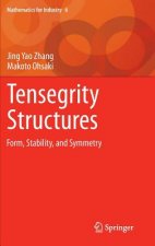 Könyv Tensegrity Structures Jingyao Zhang