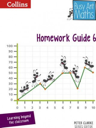 Boek Homework Guide 6 Jeanette Mumford