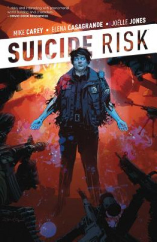 Carte Suicide Risk Vol. 2 Mike Carey