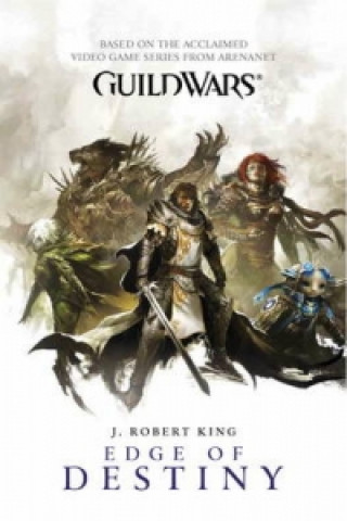 Книга Guild Wars J Robert King