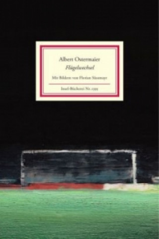 Kniha Flügelwechsel Albert Ostermaier