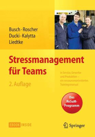 Livre Stressmanagement fur Teams Christine Busch