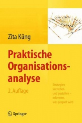 Kniha Praktische Organisationsanalyse Zita Küng