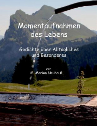 Libro Momentaufnahmen des Lebens Marion Neuhauß