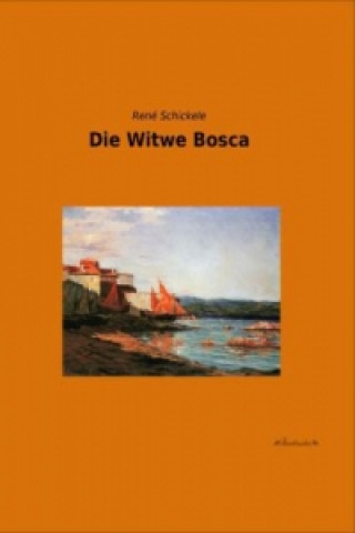 Buch Die Witwe Bosca René Schickele