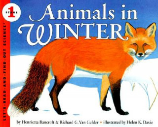 Carte Animals in Winter Henrietta Bancroft