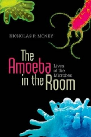 Knjiga Amoeba in the Room Nicholas P Money