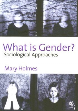 Könyv What is Gender? M Holmes